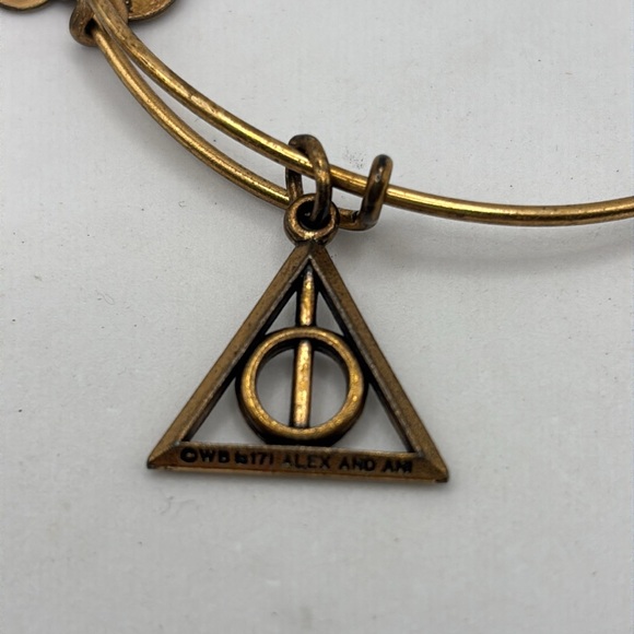 Alex and Ani charm bangle bracelets stretch 5 different colors and wear - Picture 15 of 16